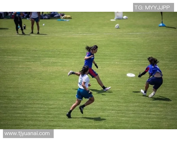 深圳飞盘队的团队协作之道：如何在飞盘运动中实现默契与配合